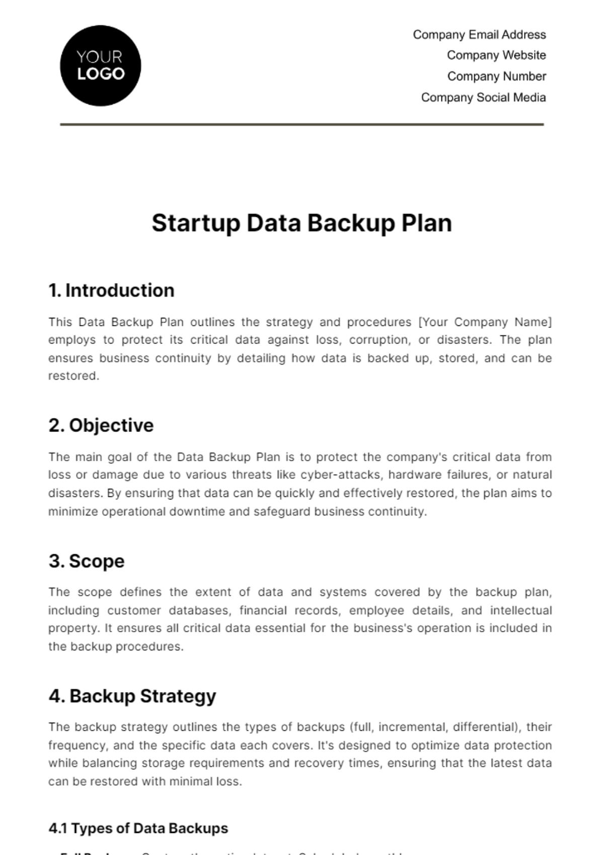 Startup Data Backup Plan Template - Edit Online & Download