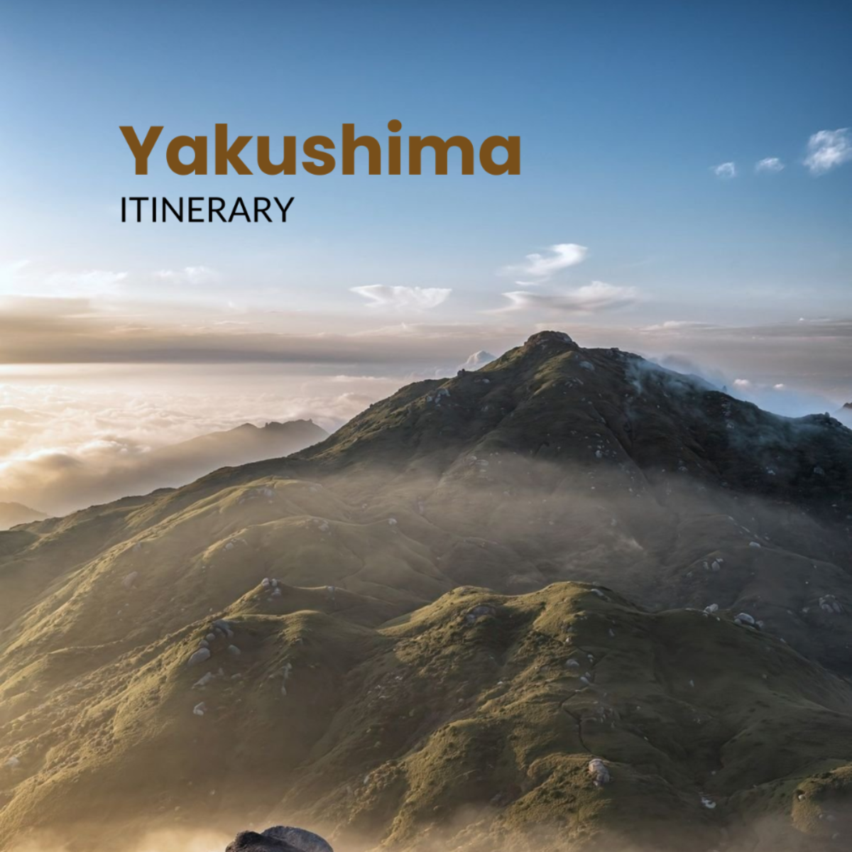 Yakushima Itinerary Template - Edit Online & Download