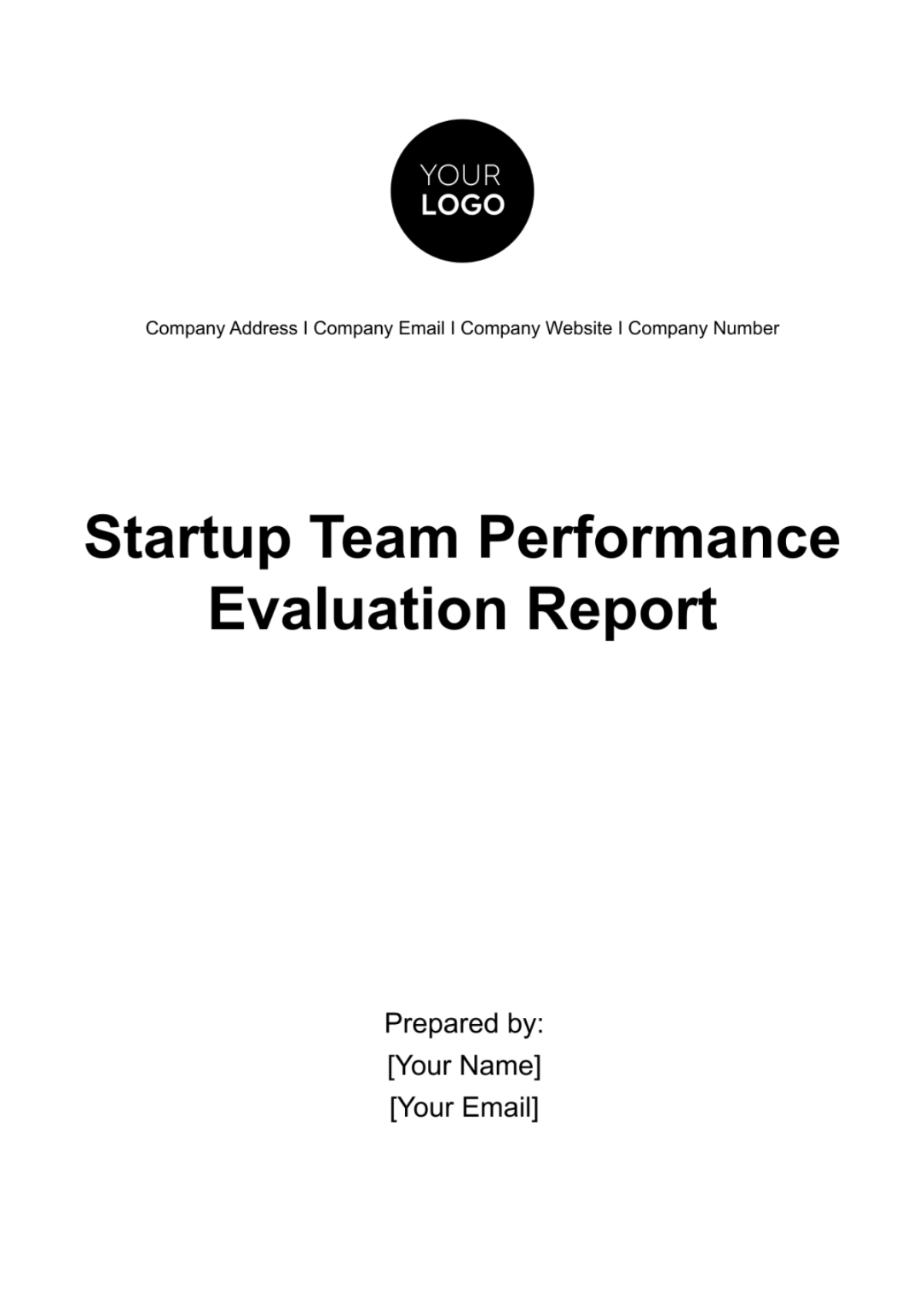 Startup Team Performance Evaluation Report Template