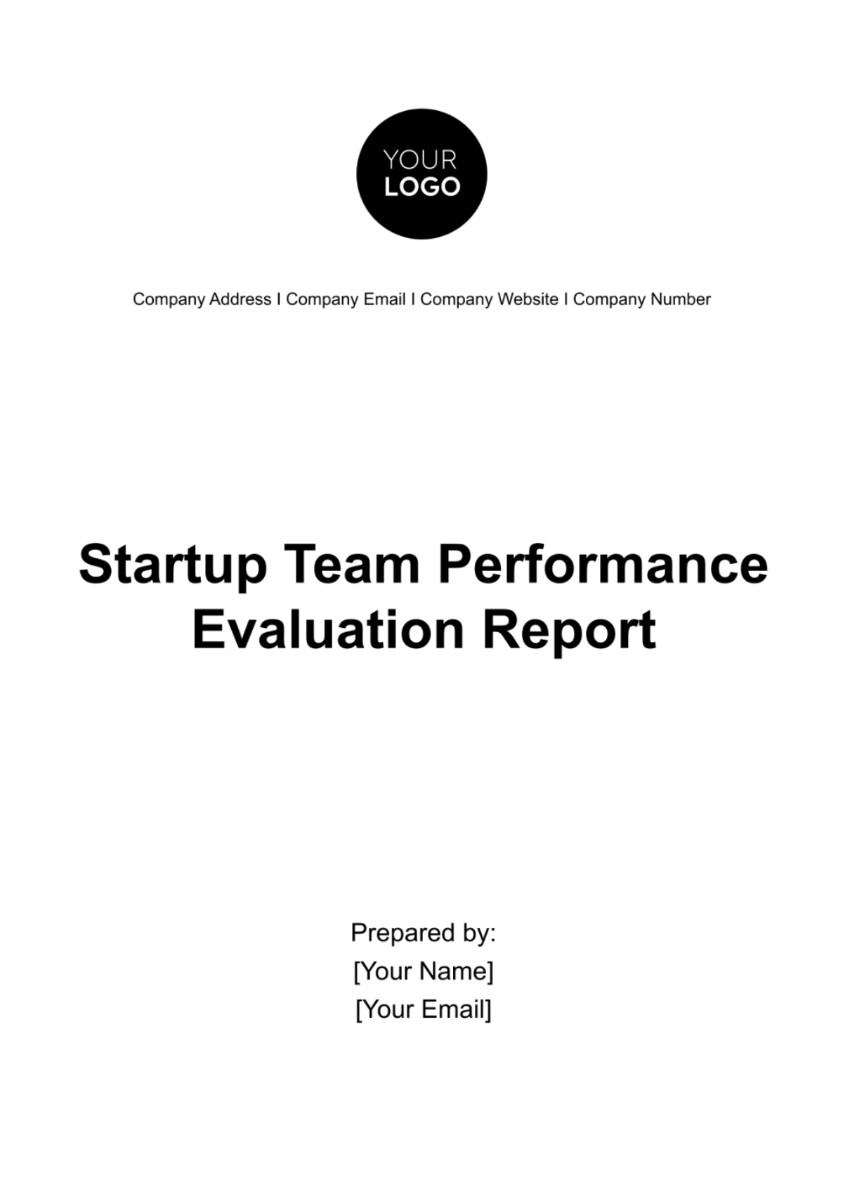 Startup Team Performance Evaluation Report Template