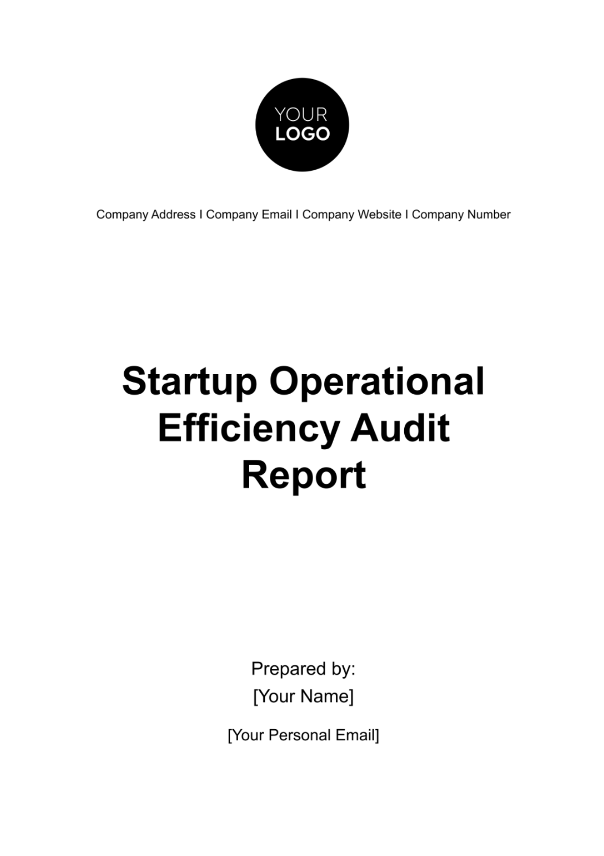 Startup Operational Efficiency Audit Report Template