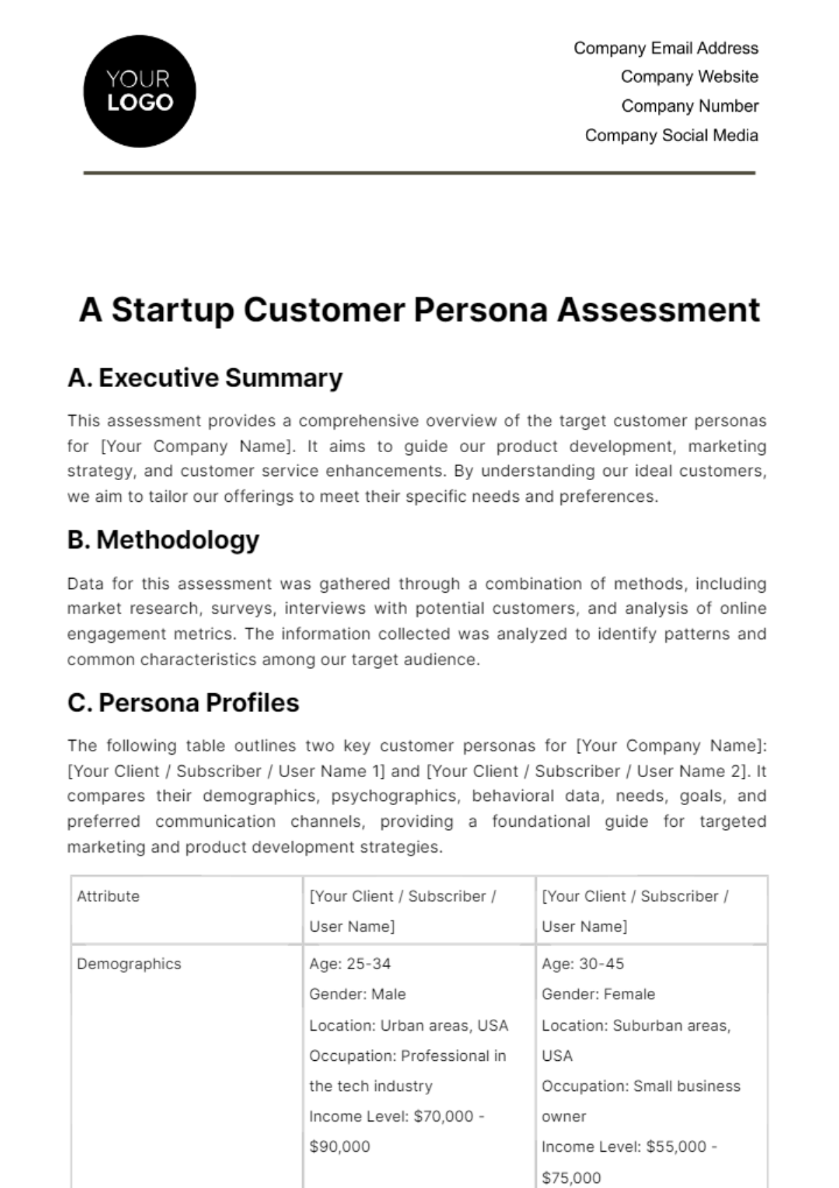 Free Startup Customer Persona Assessment Template