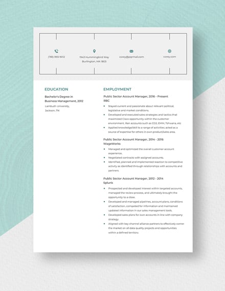 Public Sector Account Manager Resume Template