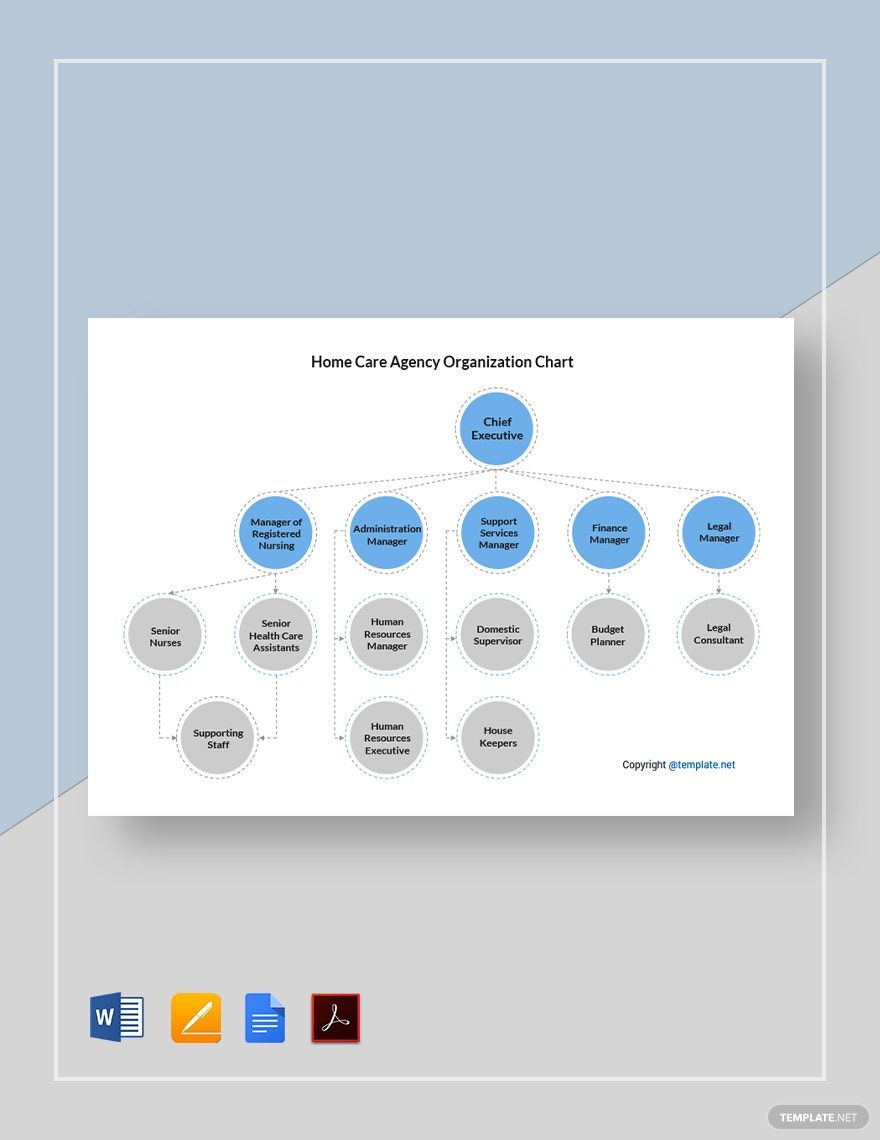 Home Care Agency Organization Chart Template