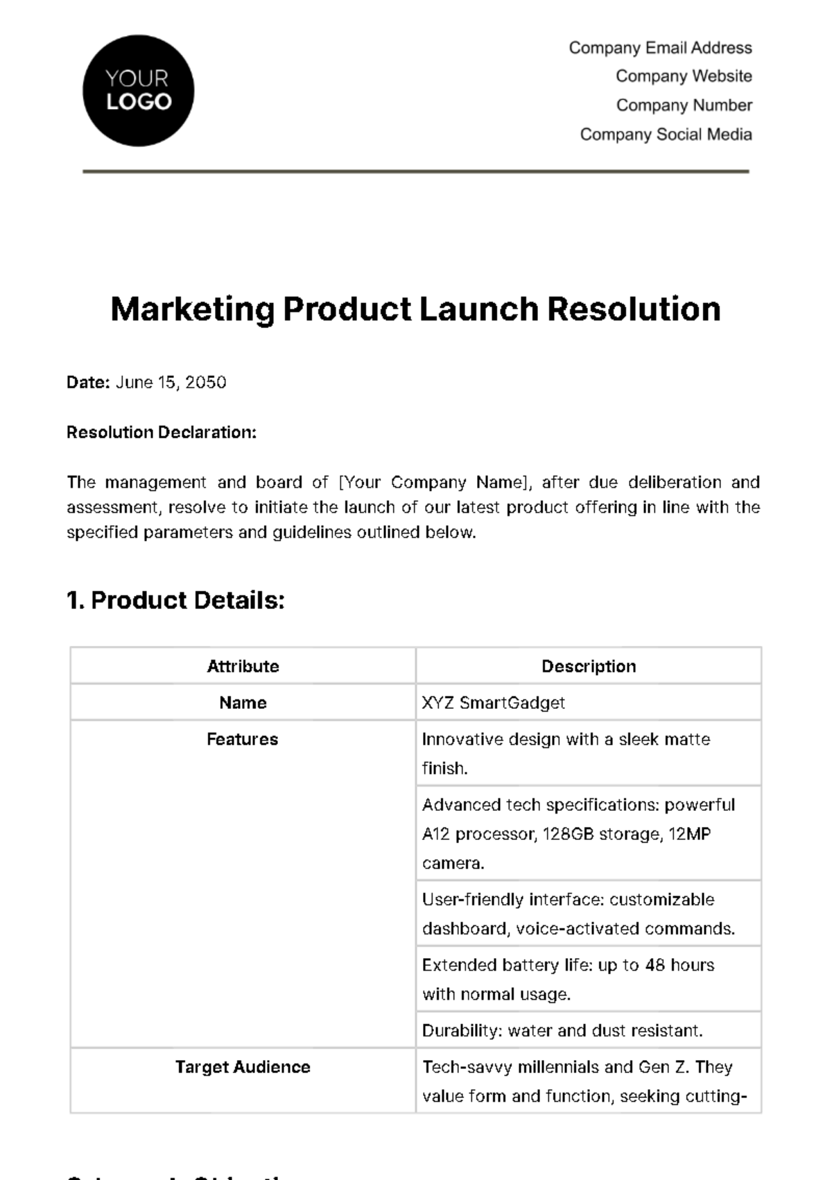 Marketing Product Launch Resolution Template