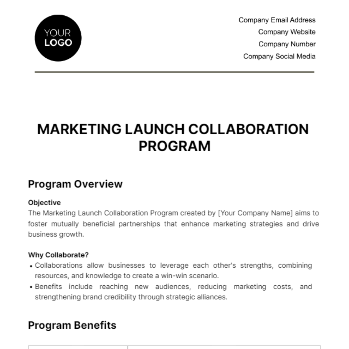 Marketing Launch Collaboration Program Template