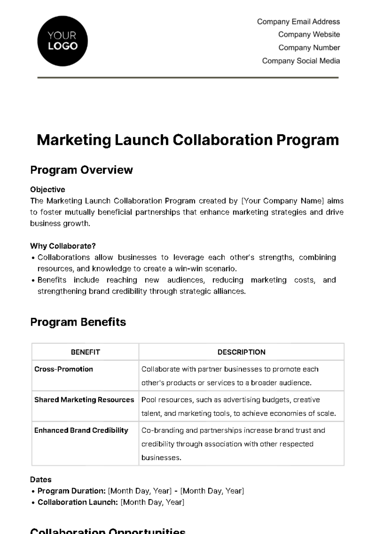 Free Marketing Launch Collaboration Program Template