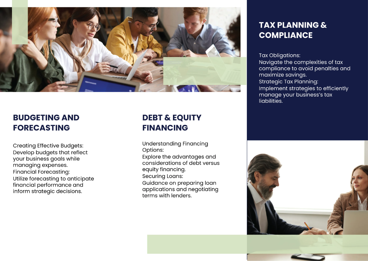 Free Financial Management Basics Brochure Template to Edit Online