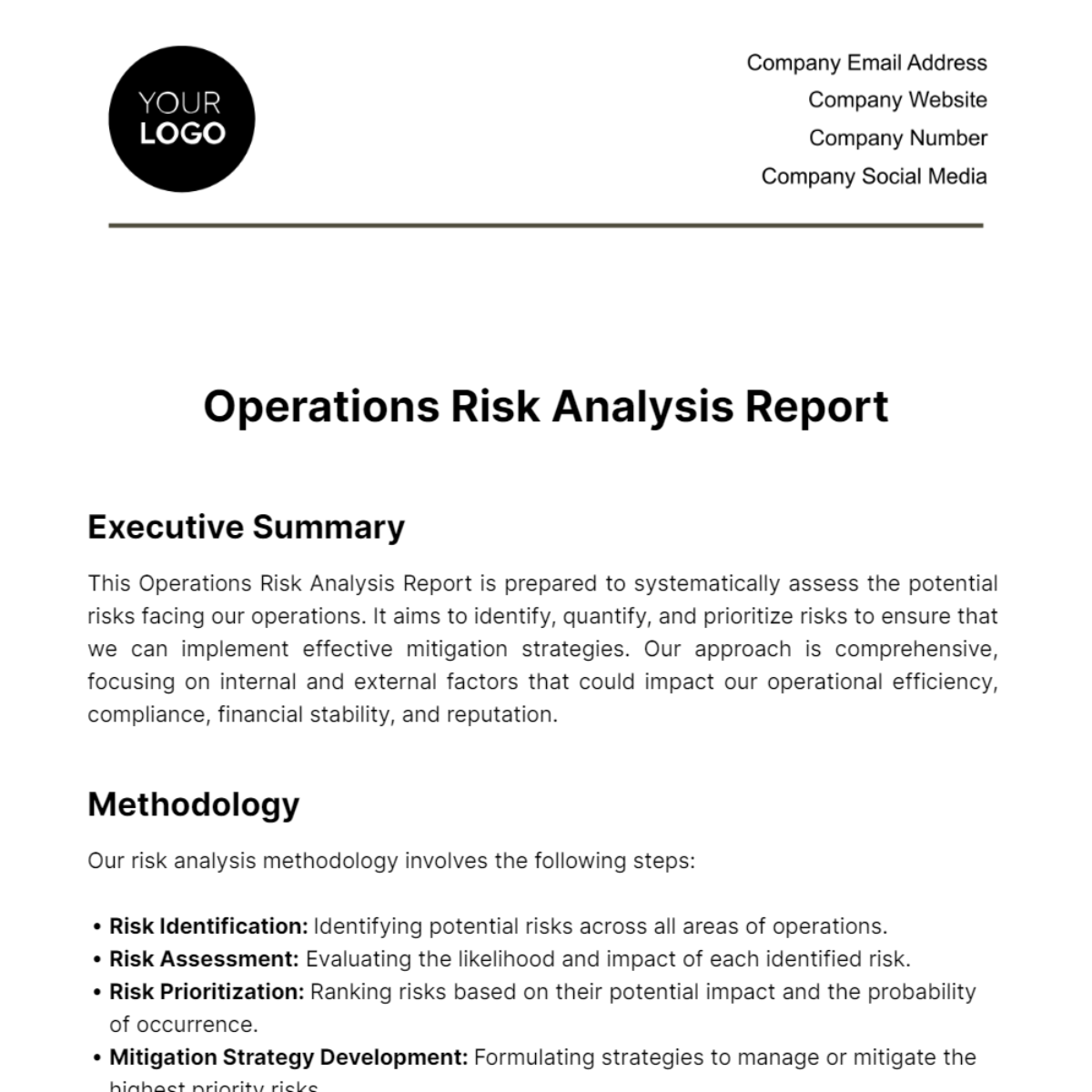Operations Risk Analysis Report Template