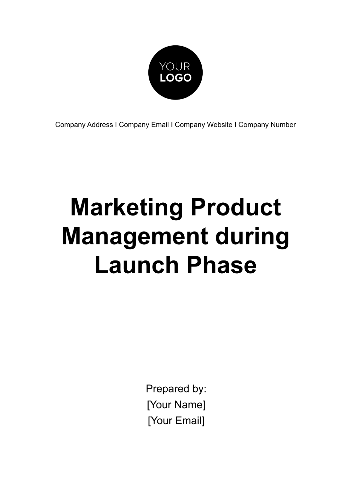 Free Marketing Product Management during Launch Phase Template