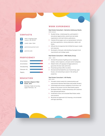 Real Estate Consultant Resume Template