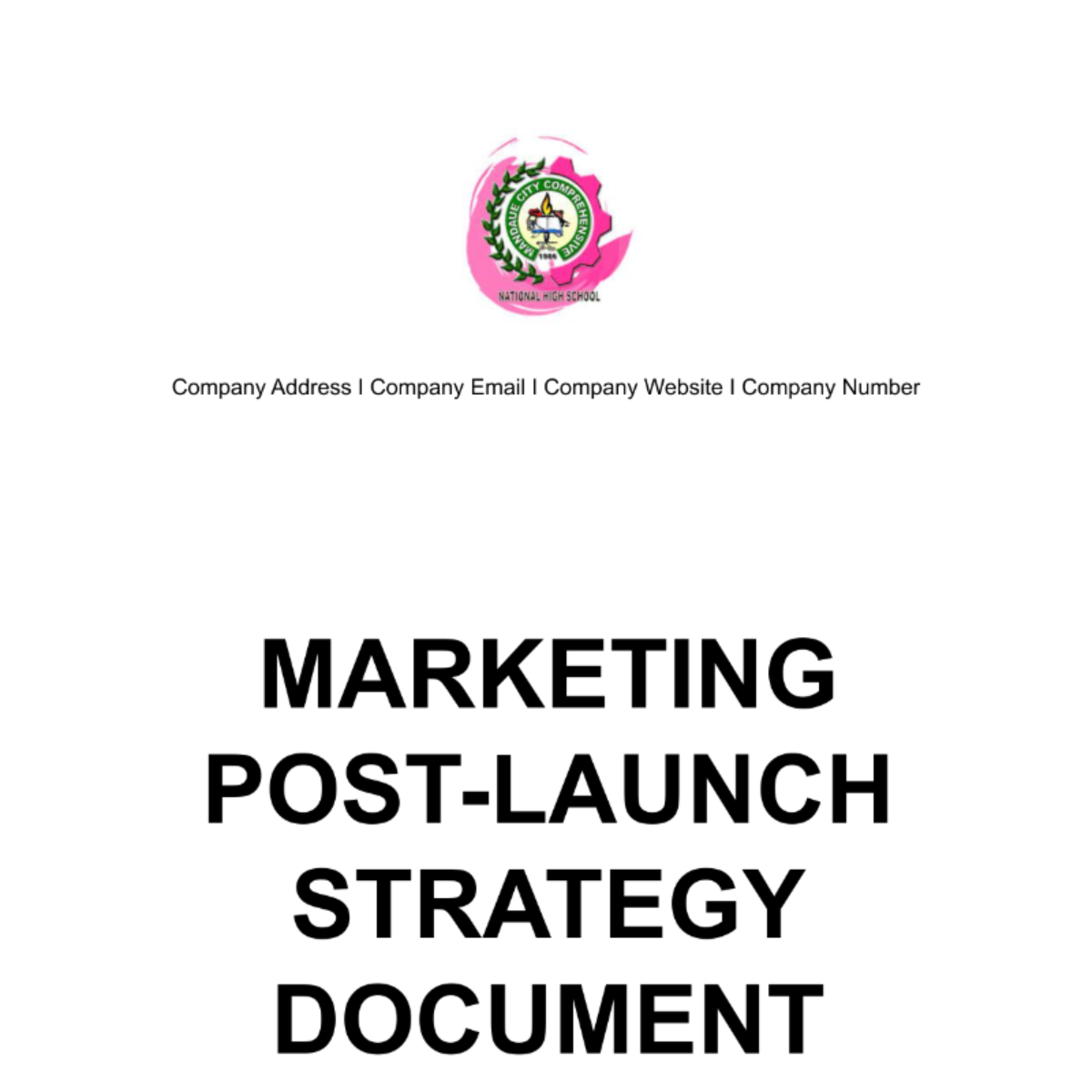 Marketing Post-Launch Strategy Document Template