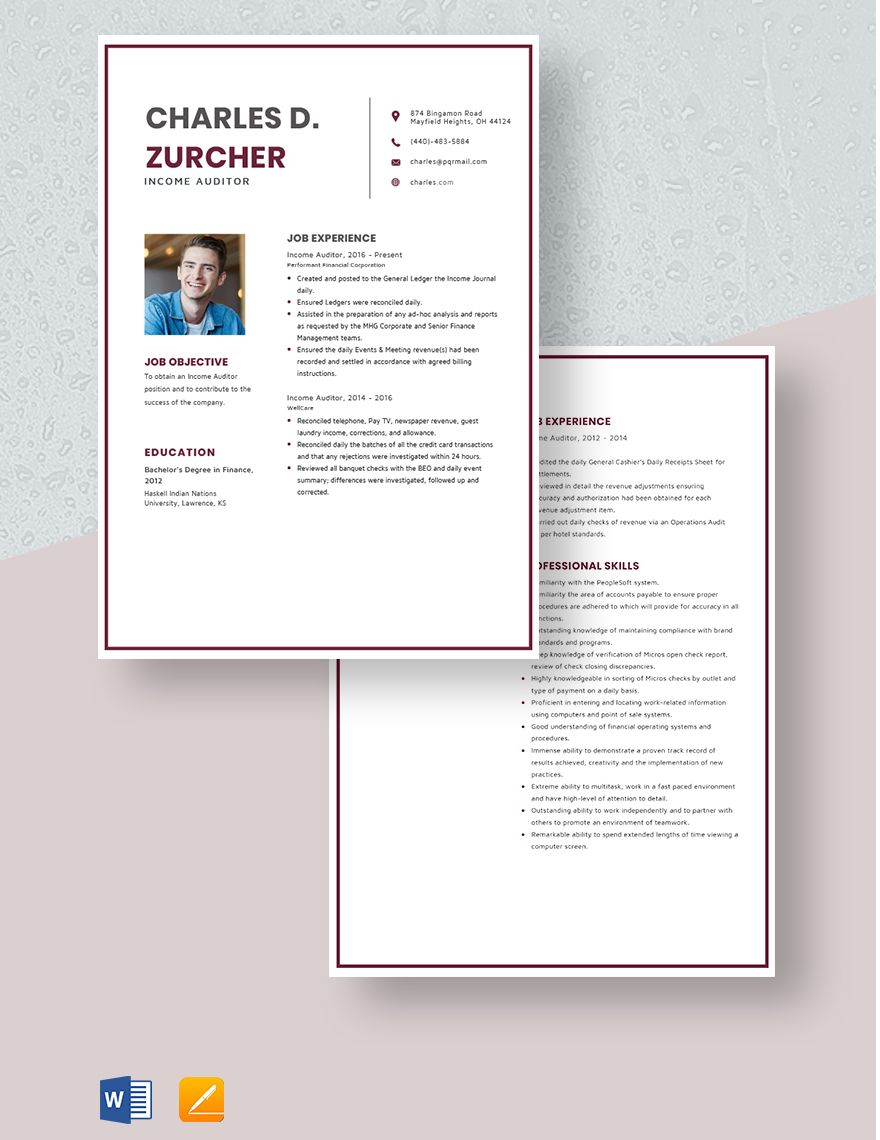 Income Auditor Resume Template