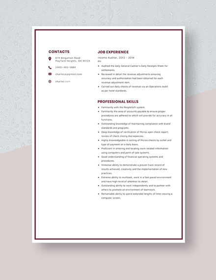 Income Auditor Resume Template
