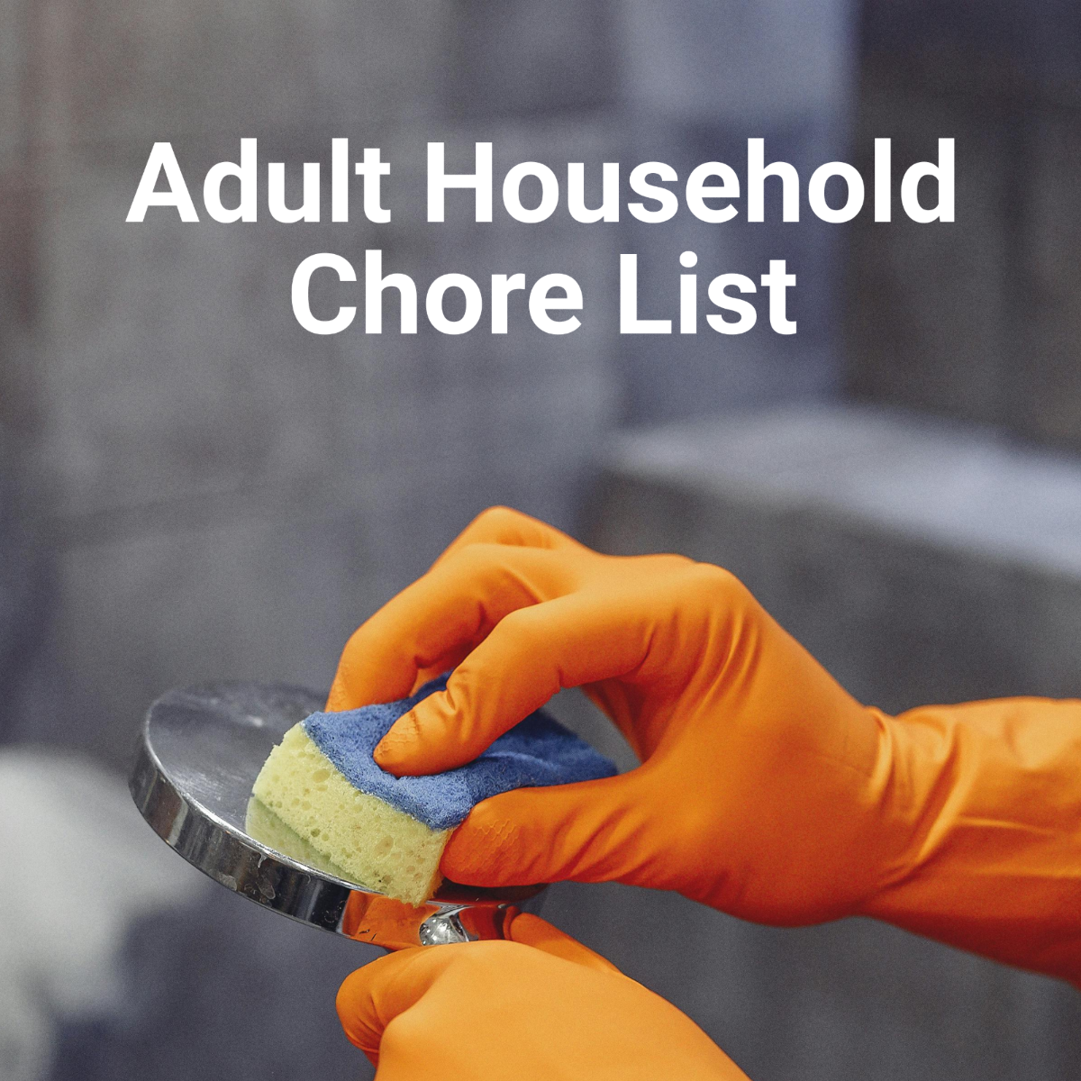 Household Chore List For Adults Template