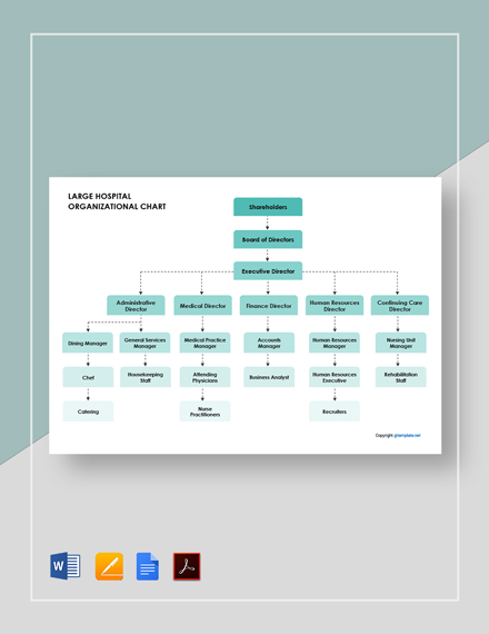 Sample Hospital Flowchart Template - PDF | Word | Apple Pages | Google ...