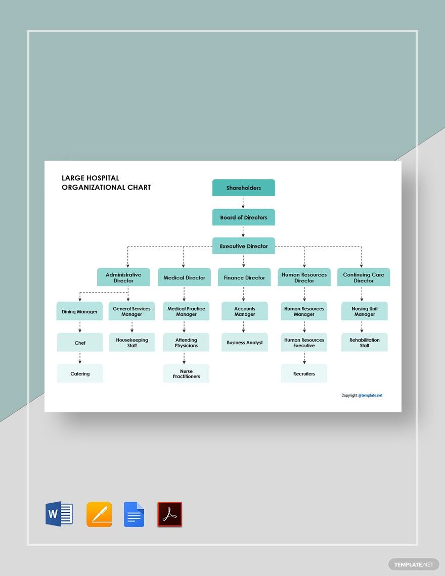 Large Hospital Organizational Chart Template