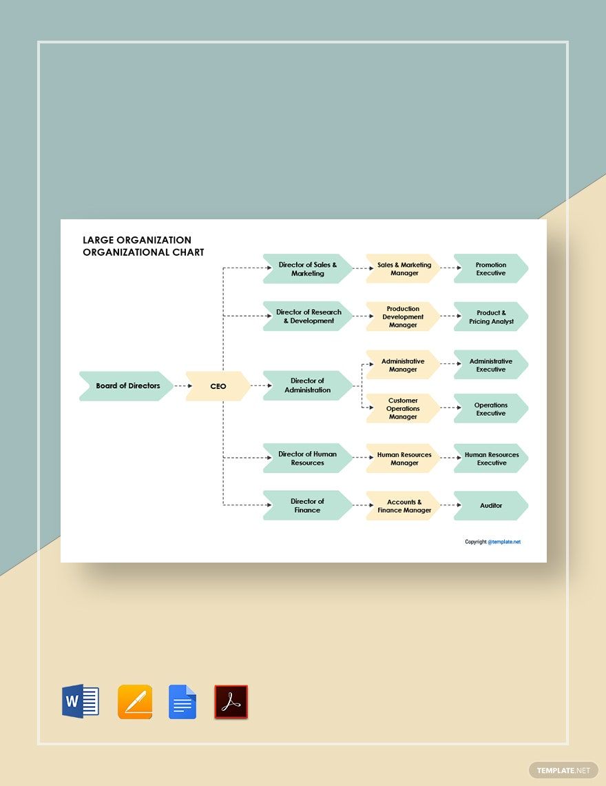 Large Organization Organizational Chart Template
