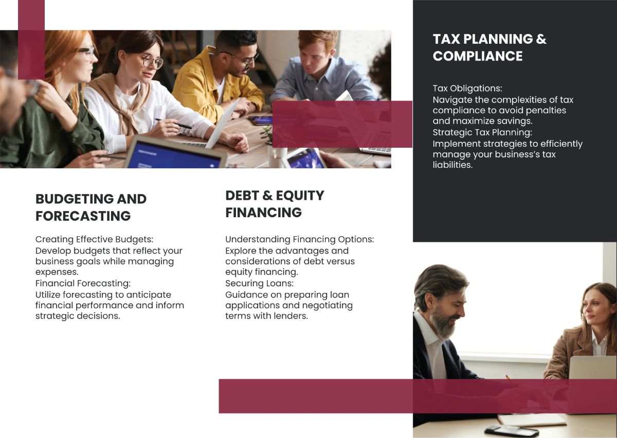 Free Financial Management Basics Pamphlet Template to Edit Online