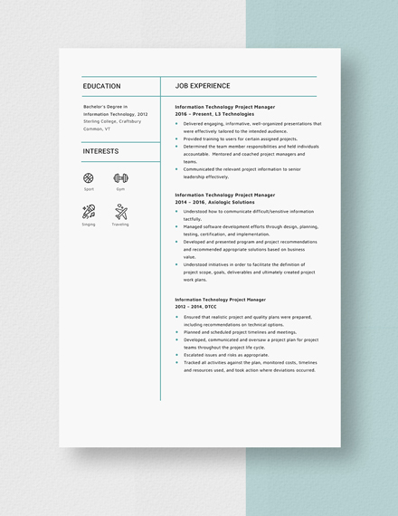 Information Technology Project Manager Resume Template