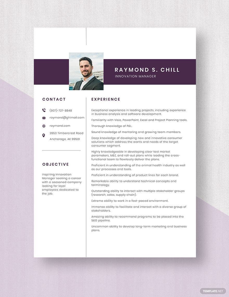Free Innovation Manager Resume in Word, Apple Pages