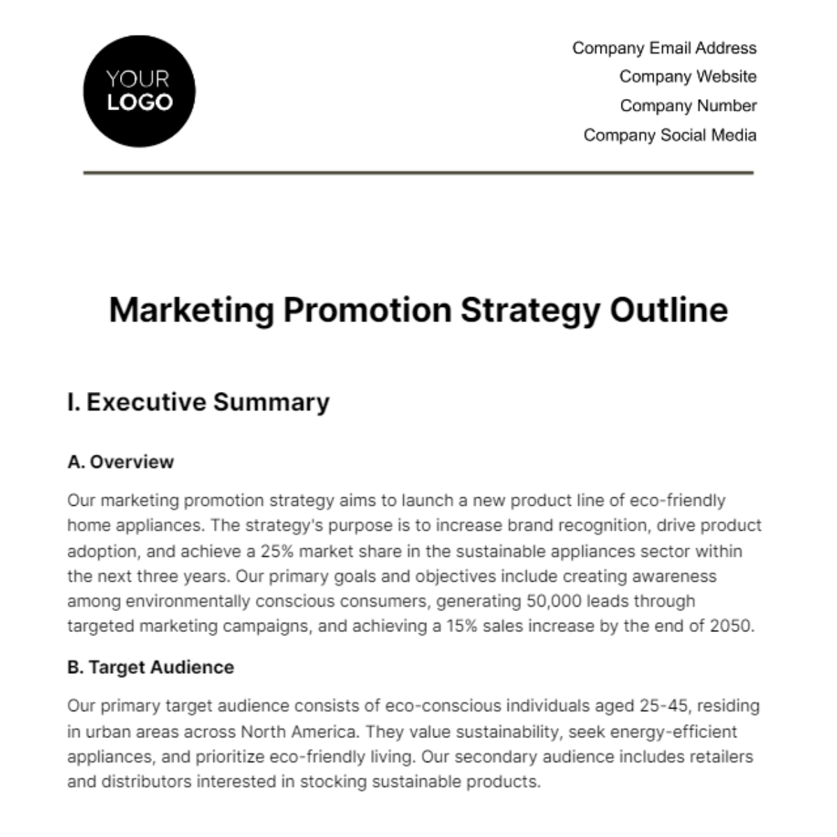 Marketing Promotion Strategy Outline Template