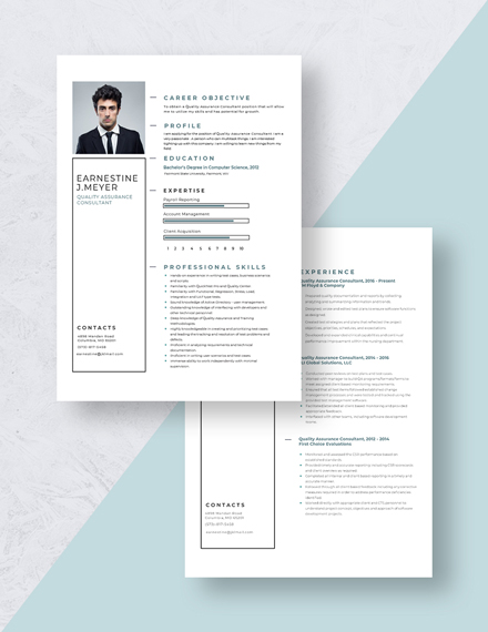 Quality Assurance Consultant Resume Download