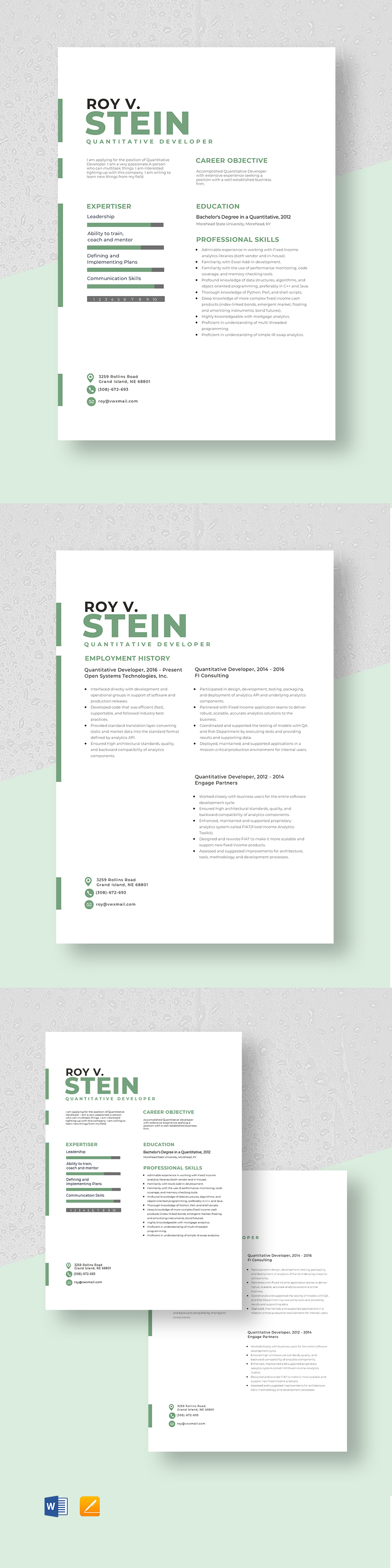 Free Quantitative Developer Resume Template - Word, Apple Pages ...