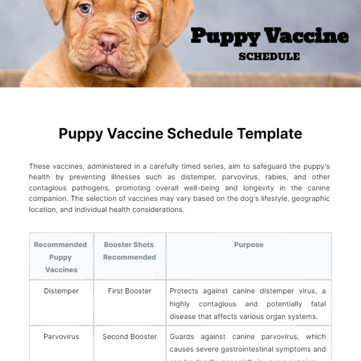 Puppy Vaccine Schedule Template - Edit Online & Download