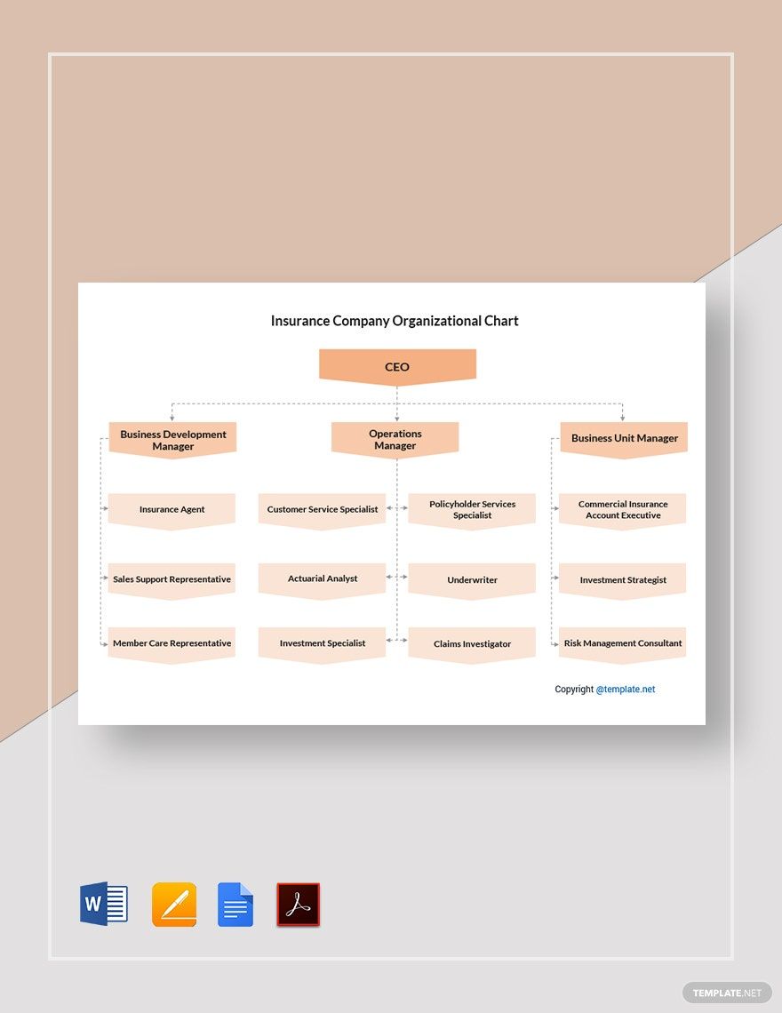 Insurance Company Organizational Chart Template