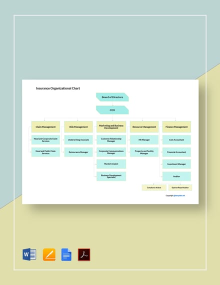 Insurance Organization Chart