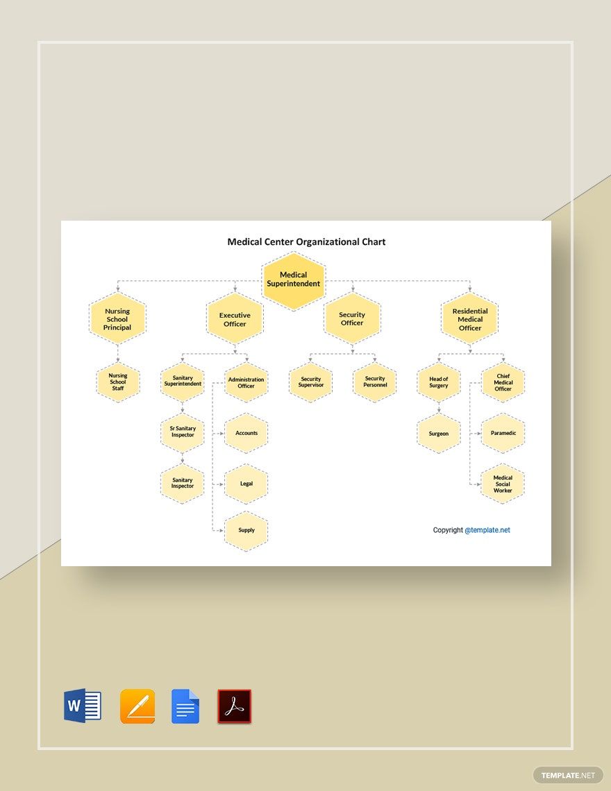 Medical Center Organizational Chart Template