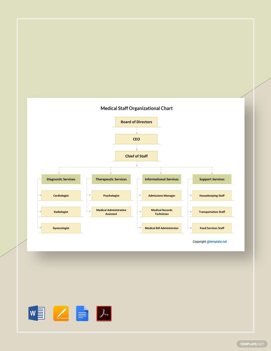 Medical Staff Organizational Chart Template