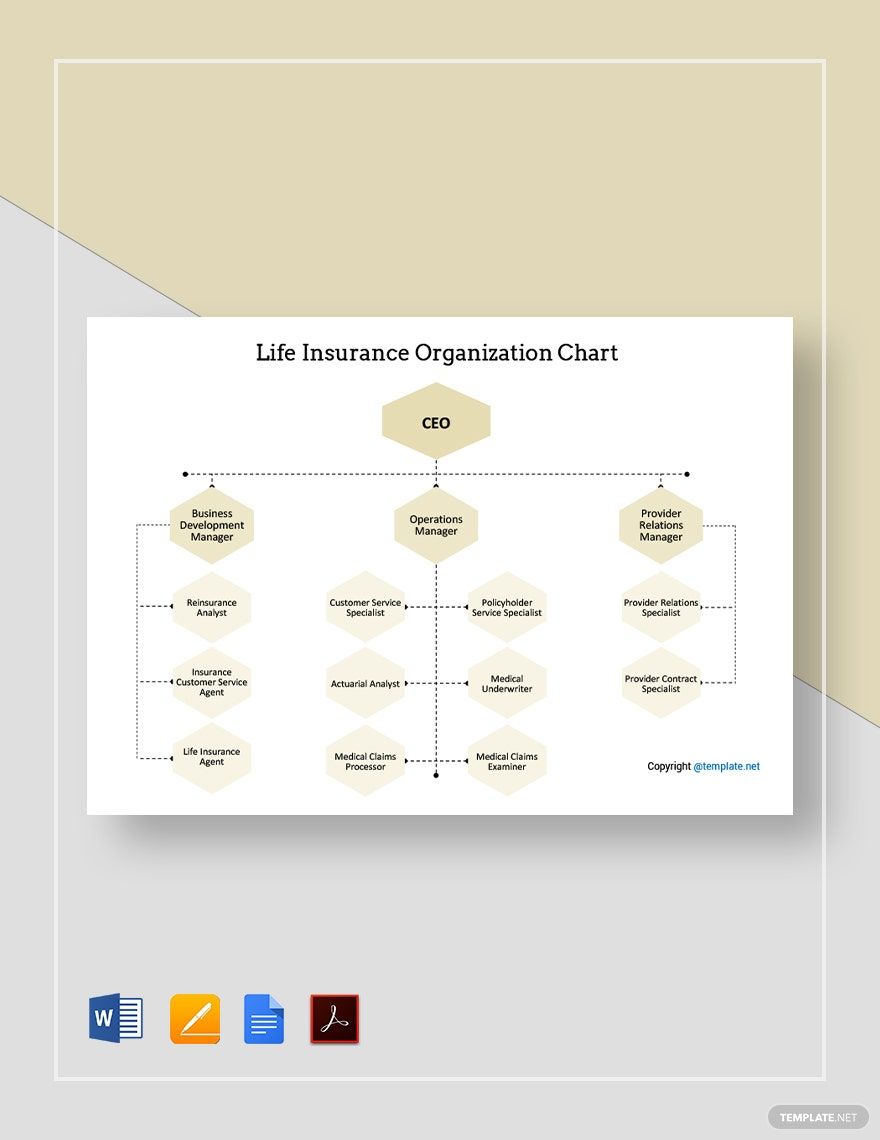 Life Insurance Organizational Chart Template