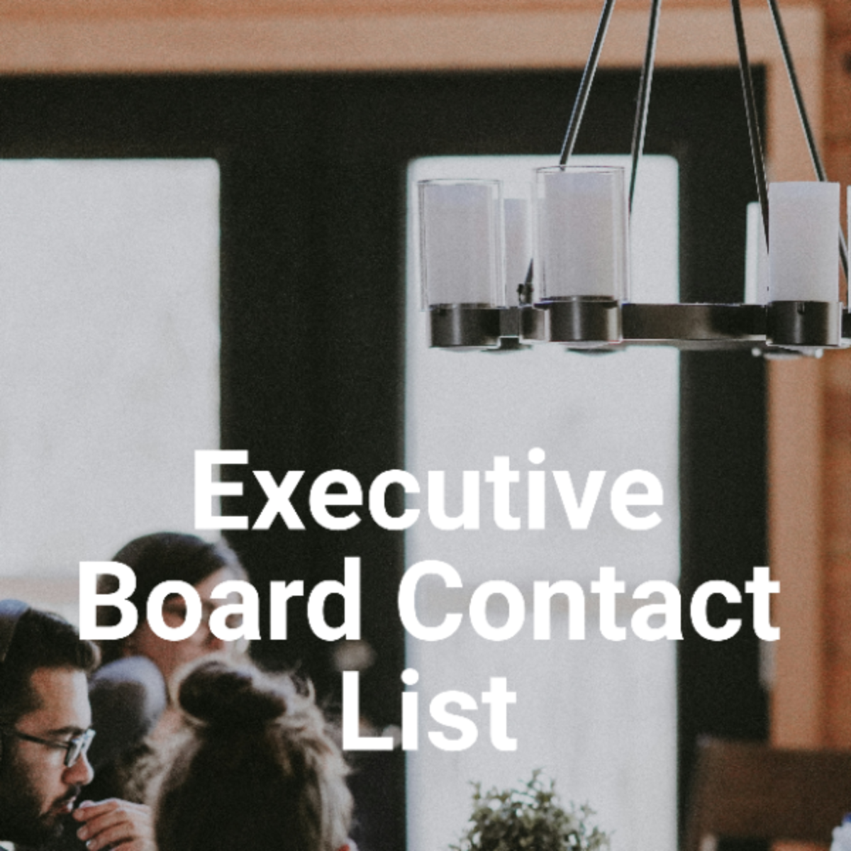 Board Of Directors Contact List Template