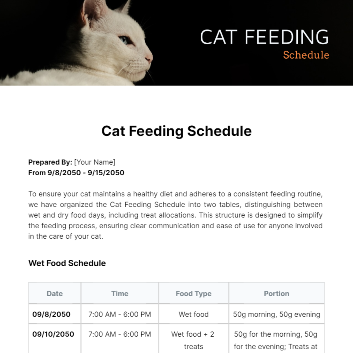Cat Feeding Schedule Template