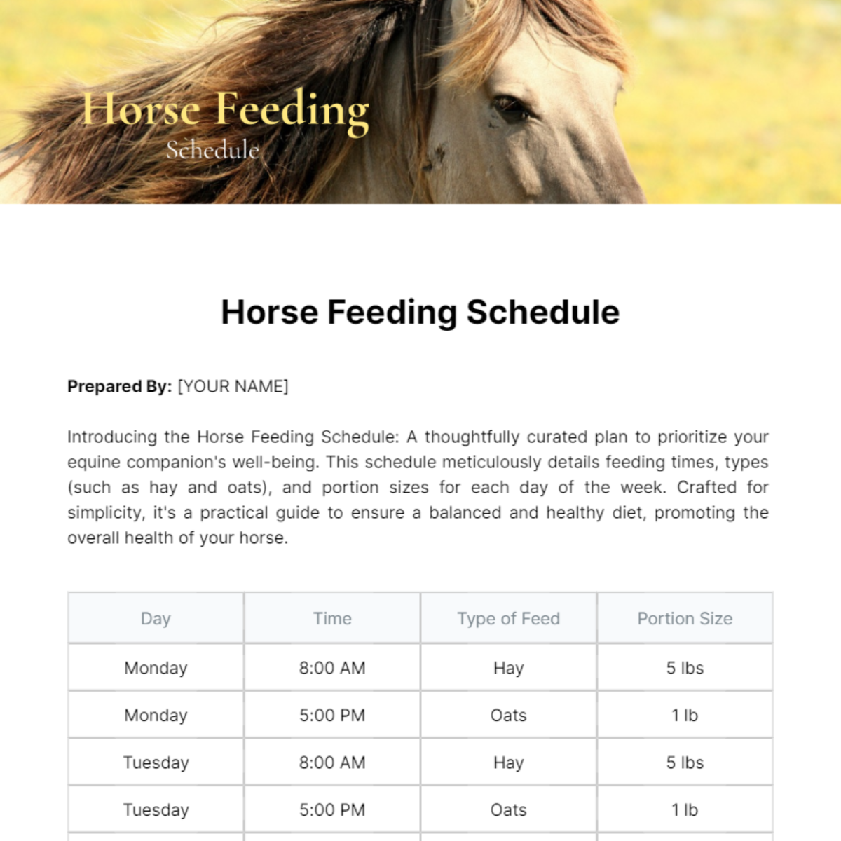 Horse Feeding Schedule Template - Edit Online & Download