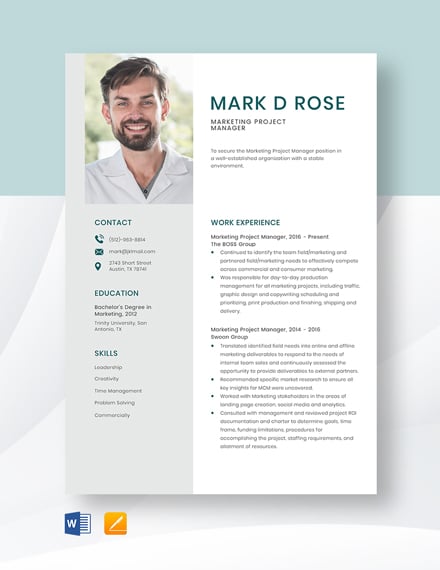 professional project manager resume template free download