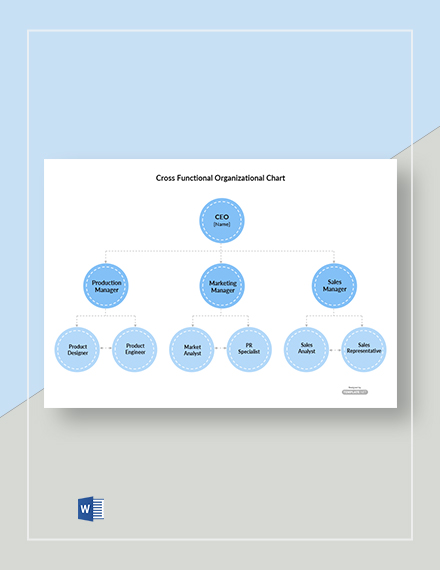 Functional Organizational Chart Template
