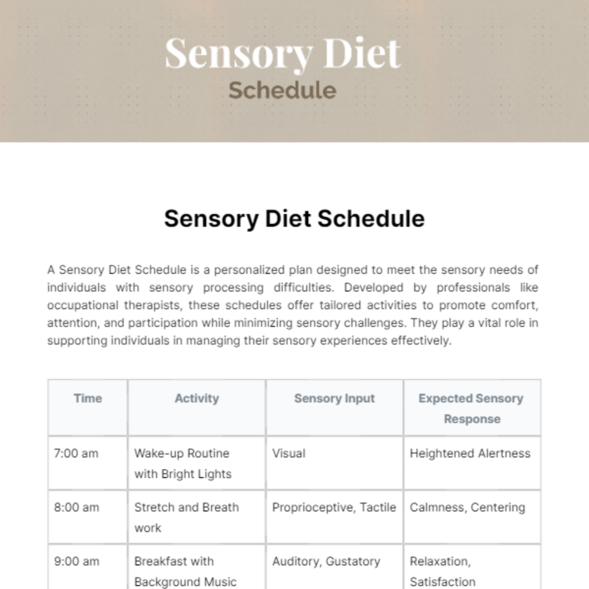 Sensory Diet Schedule Template - Edit Online & Download