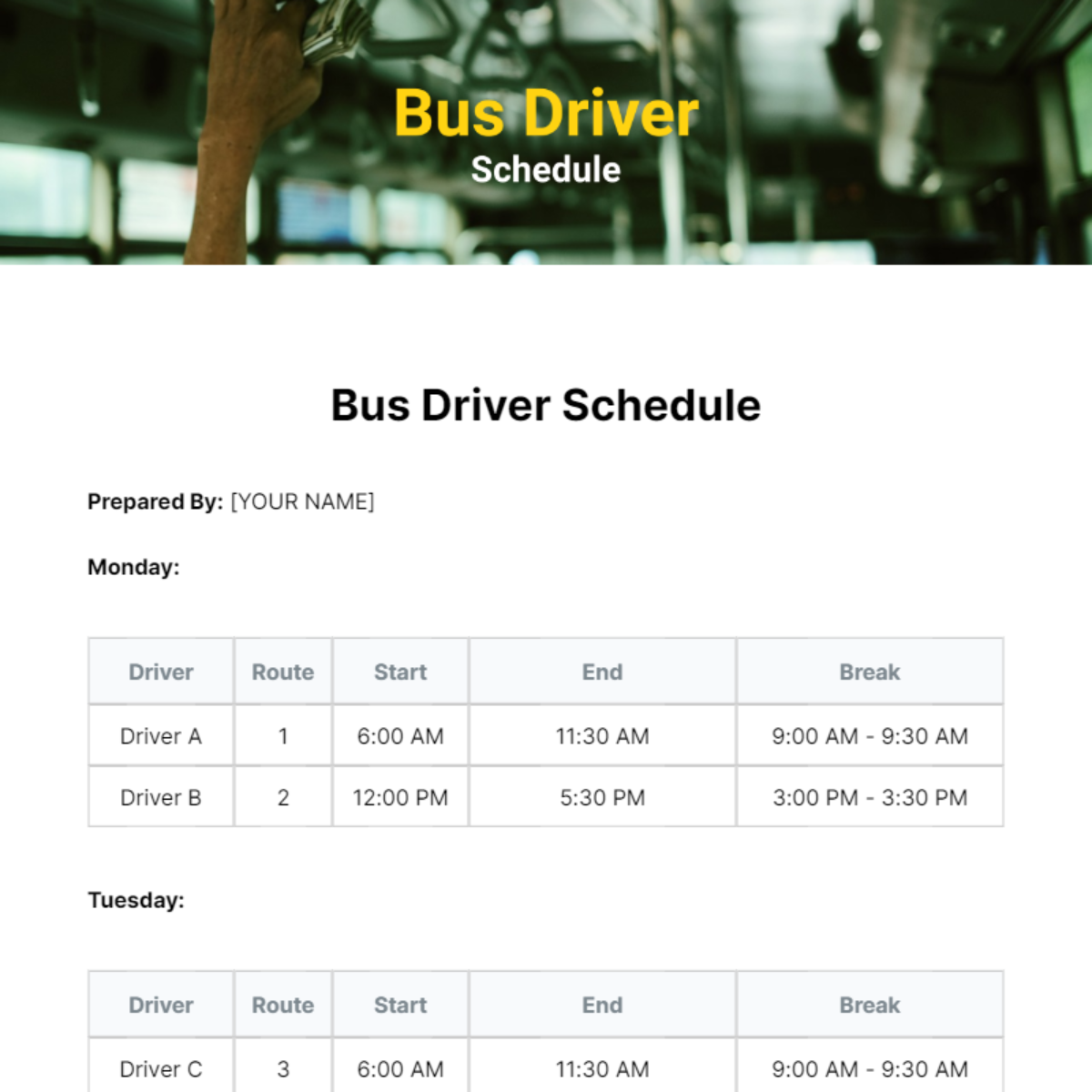 Bus Driver Schedule Template - Edit Online & Download