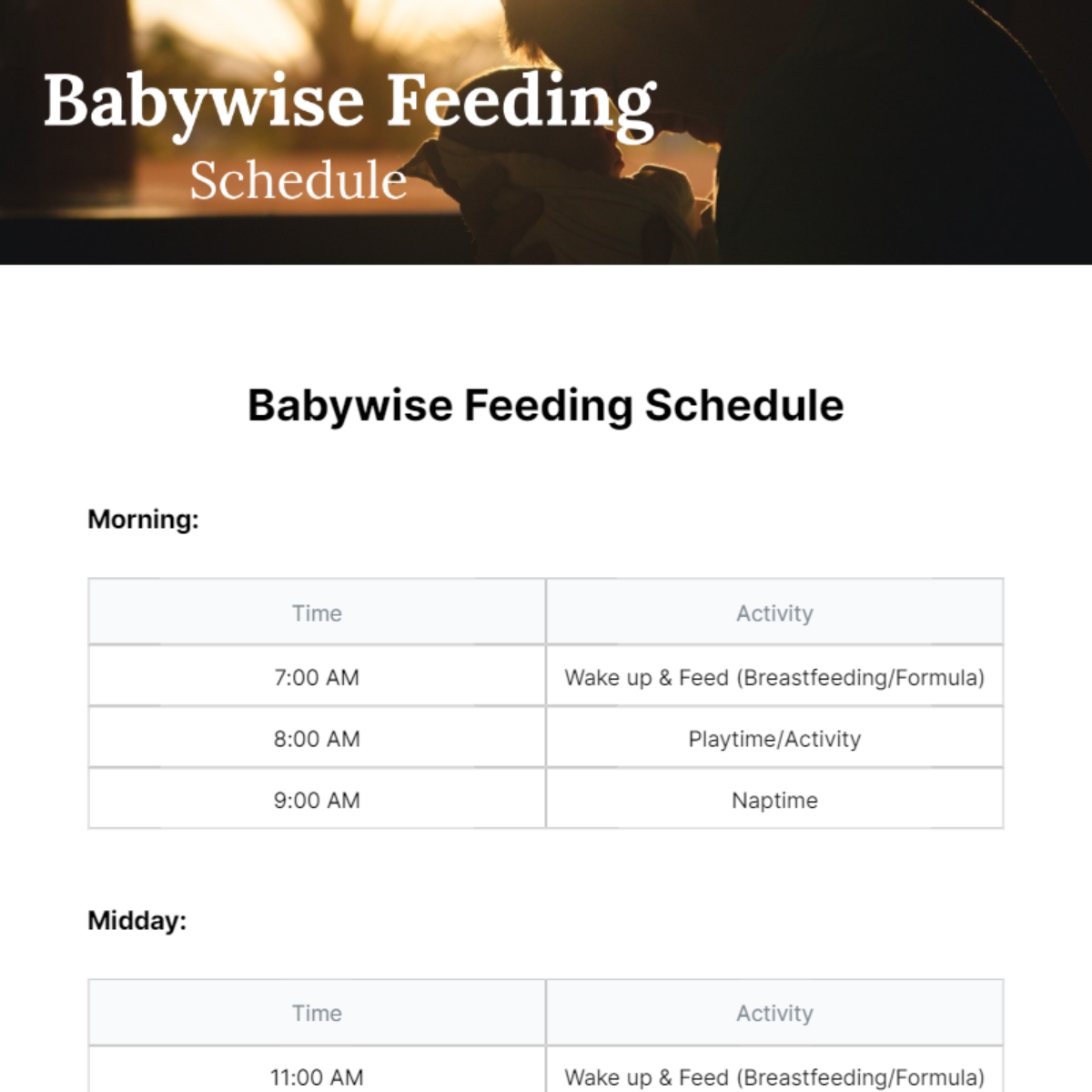 Babywise Feeding Schedule Template - Edit Online & Download