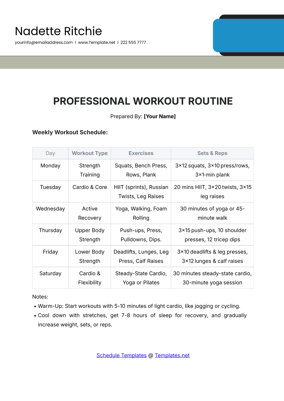 Professional Workout Routine Template - Edit Online & Download