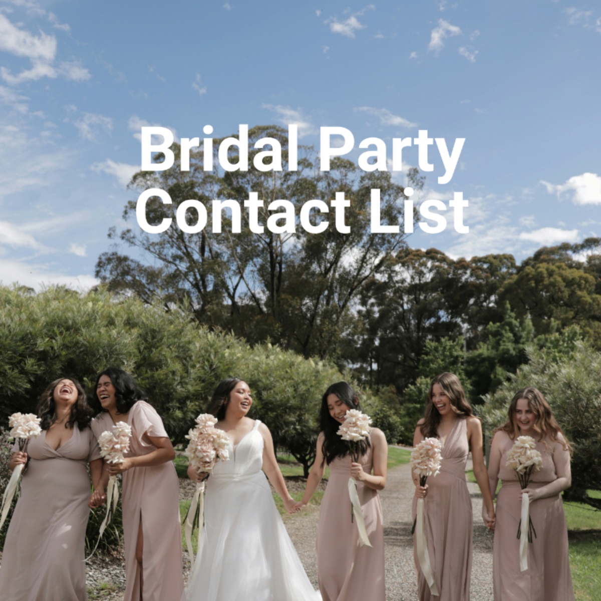 Bridal Party Contact List Template - Edit Online & Download