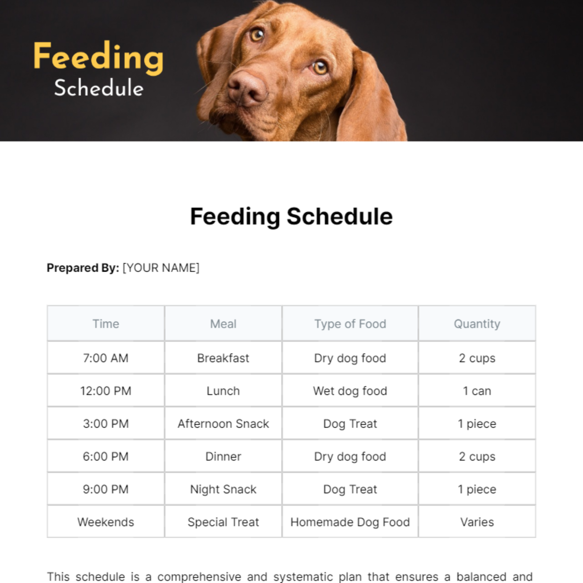 Feeding Schedule Template