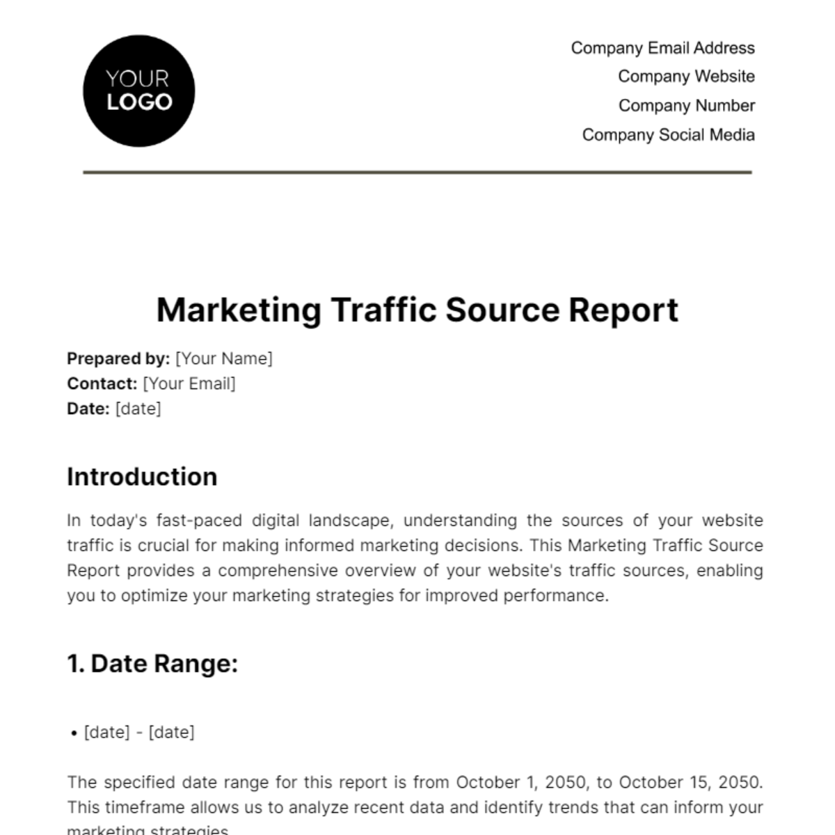 Marketing Traffic Source Report Template