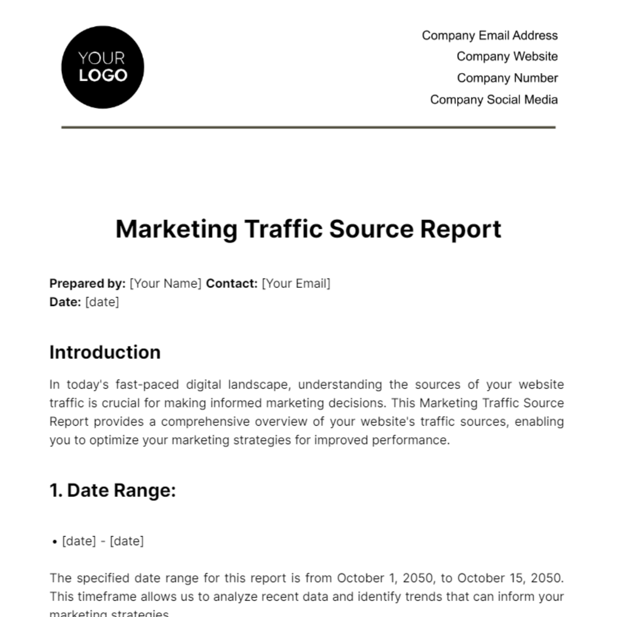 Marketing Traffic Source Report Template