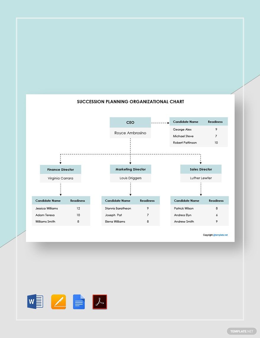 Sample Succession Planning Organizational Chart Template