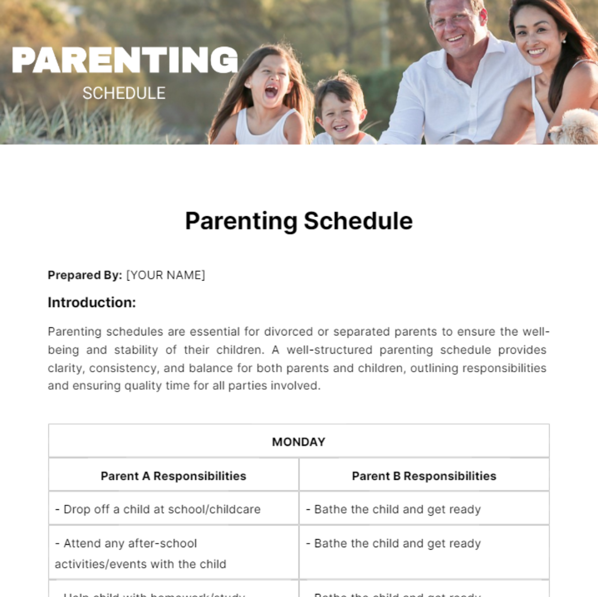 Parenting Schedule Template