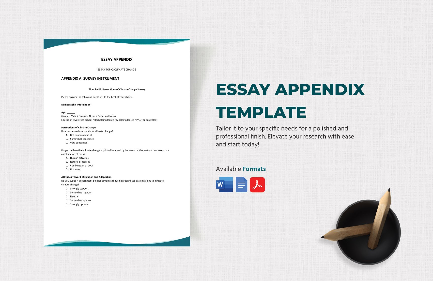 Essay Appendix Template